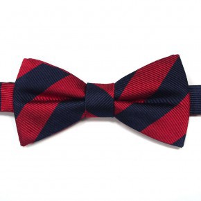 Красно-синий галстук бабочка Laura Biagiotti 818599