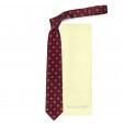 Яркий галстук с оригинальным принтом Roberto Conti 821060